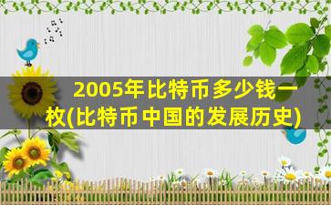 2005年比特币多少钱一枚(比特币中国的发展历史)